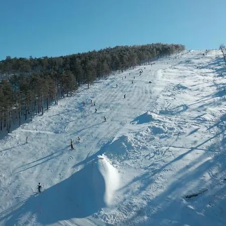 Apartament Razvigora - Divcinova *