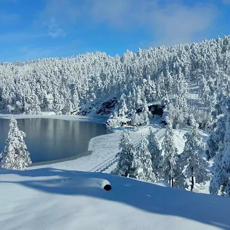 Apartament Razvigora - Divcinova *