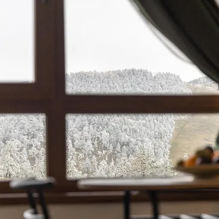 Apartman Razvigora - Divcinova