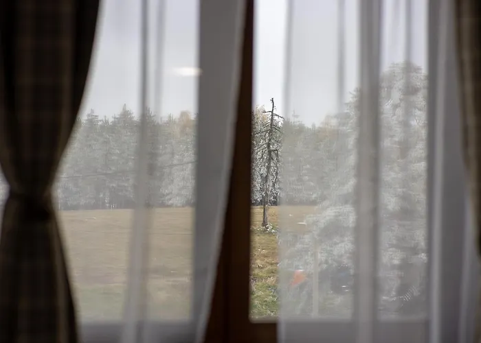 Razvigora - Divcinova Lejlighed